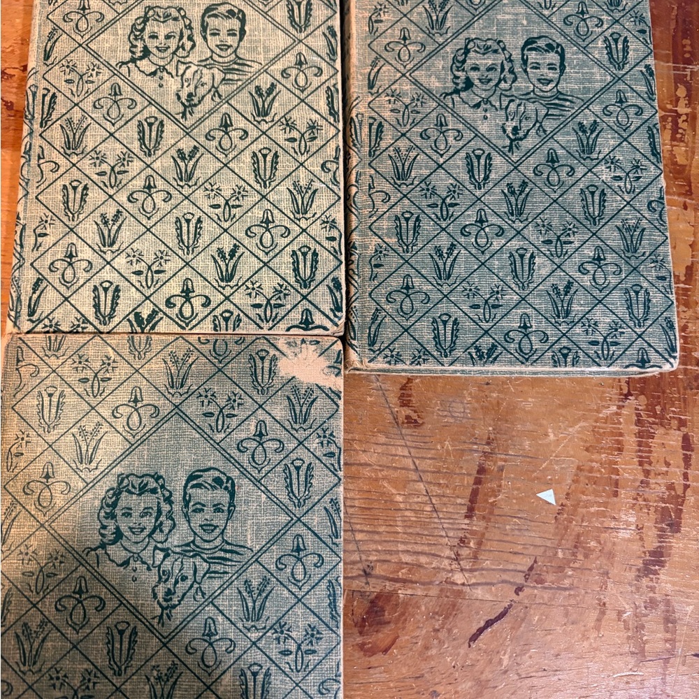 3 Vintage Bobbsey Twins books
